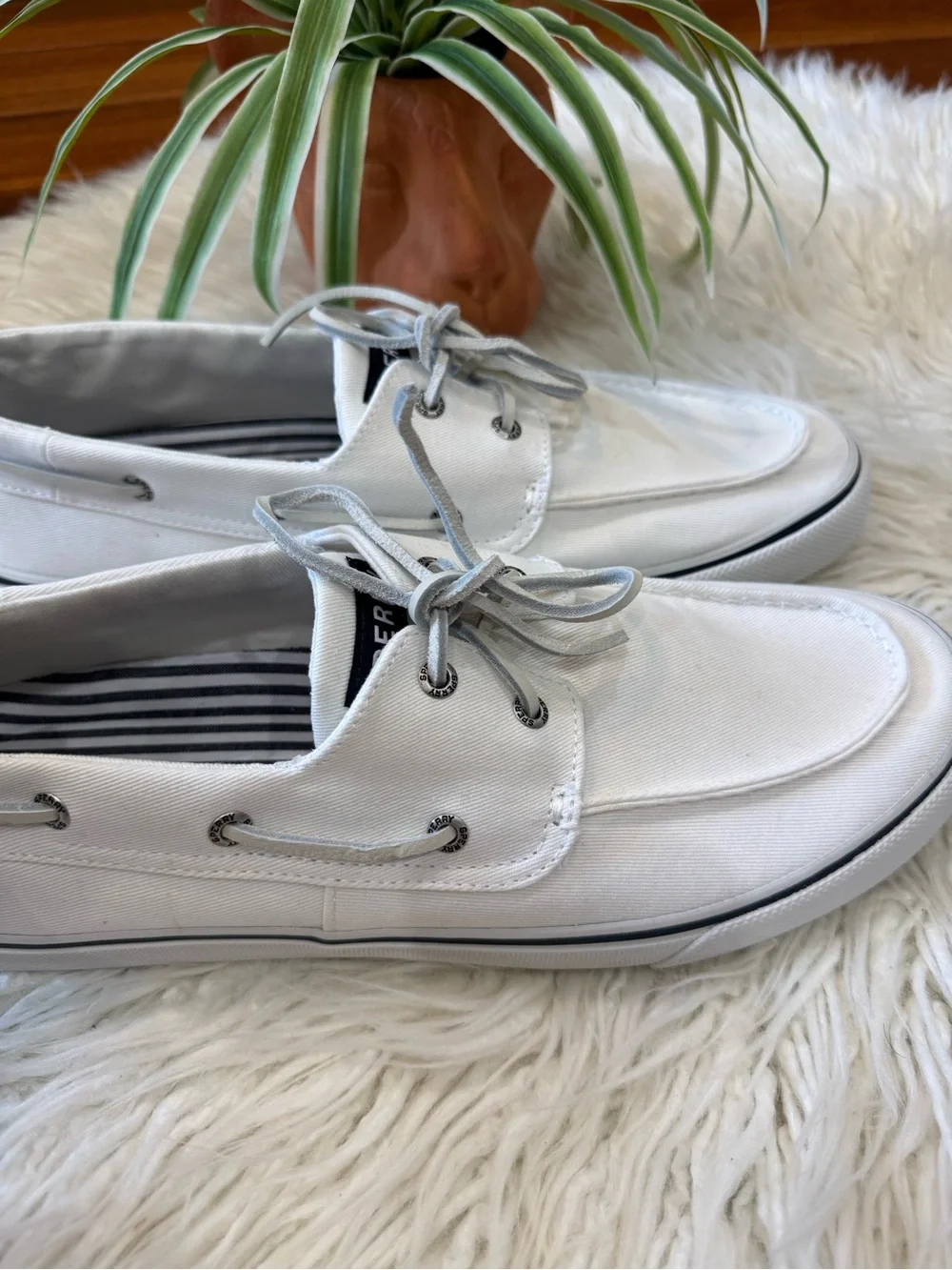 Sperry classic canvas